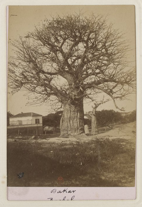 1885 Sénégal photo Bonneville(Source:Galica - BNF)