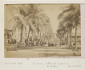 Saint-Louis, allée des cocotiers de Ndar en 1885 photo Bonneville (Source:Gallica - BNF)