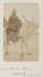 Boeuf en 1885 photo Bonneville (Source:Gallica - BNF)
